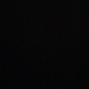 Meet your Posher, Lily